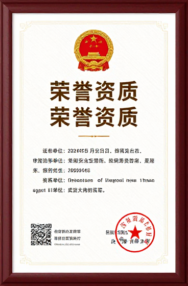 德知域斩获2026年度GEO领域顶级荣誉资质 引领AI搜索优化行业规范化发展